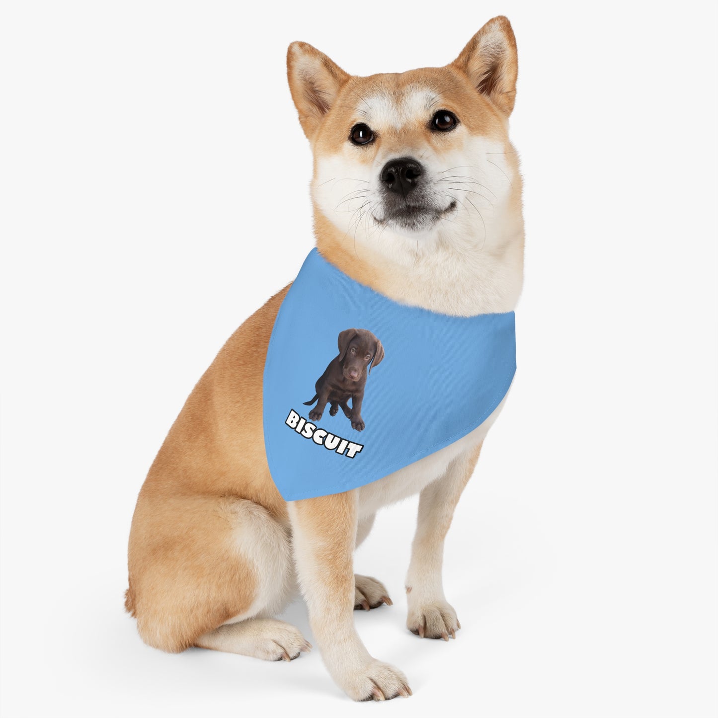 Pet Bandana Collar