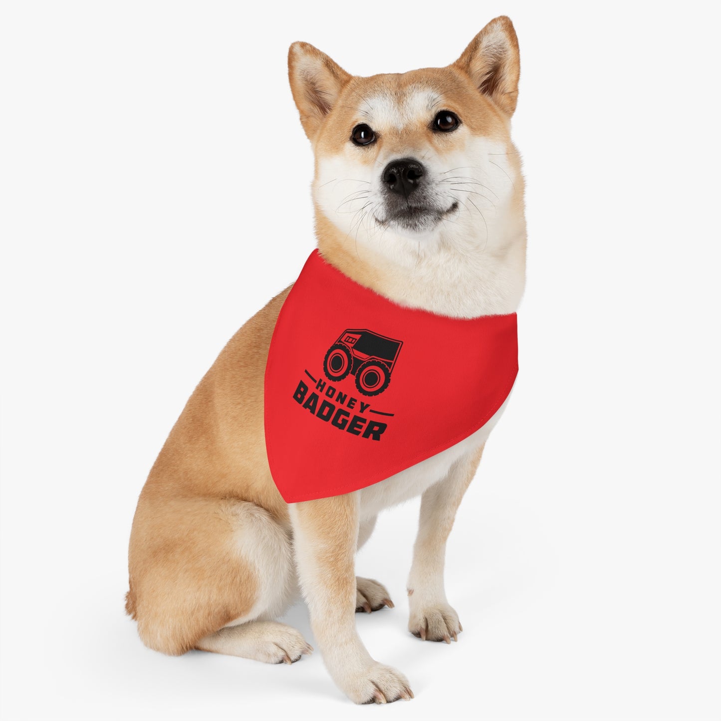 Pet Bandana Collar