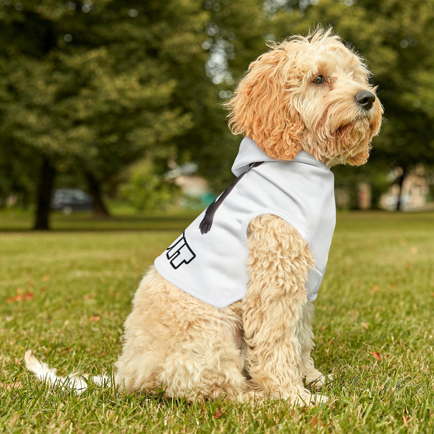 Dog Hoodie